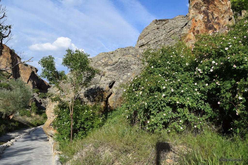 vallée d'Erdemli