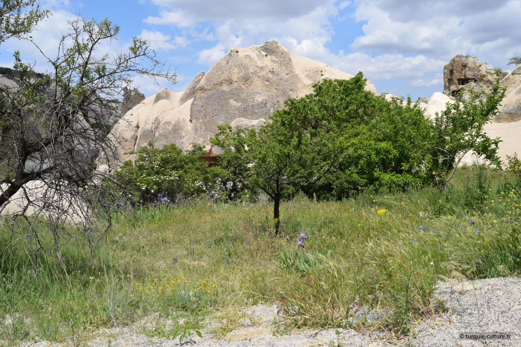 Göreme 2024