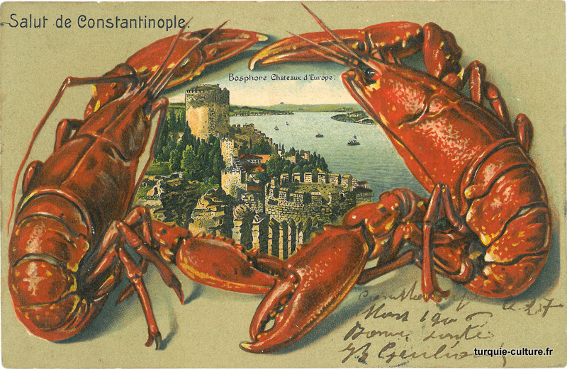 Istanbul homard