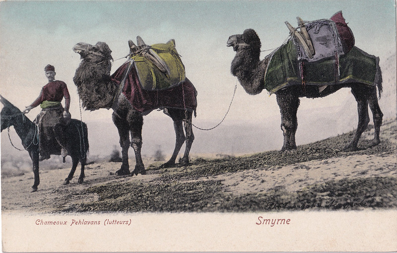 Chemaux Pehlavans, Smyrne